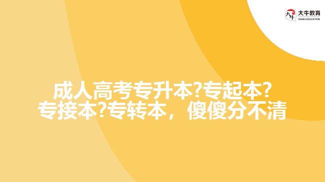 成人高考專升本?專起本?專接本?專轉本，傻傻分不清