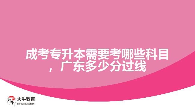 成考專升本需要考哪些科目，廣東多少分過線