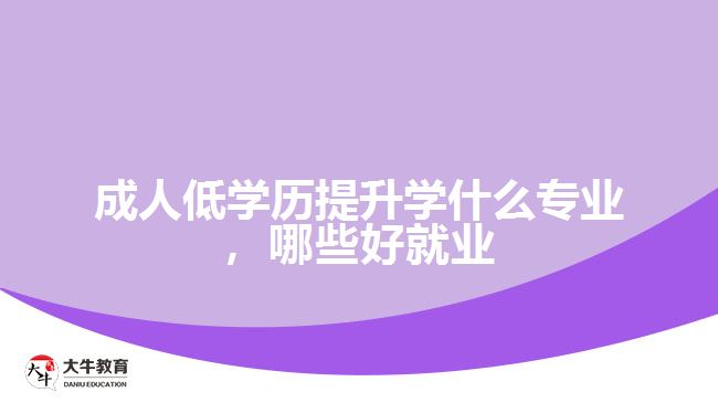 成人低學(xué)歷提升學(xué)什么專業(yè)，哪些好就業(yè)