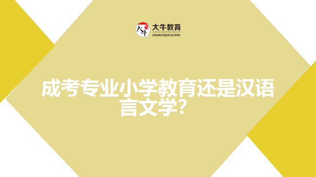 成考小學(xué)教育還是漢語言文學(xué)？