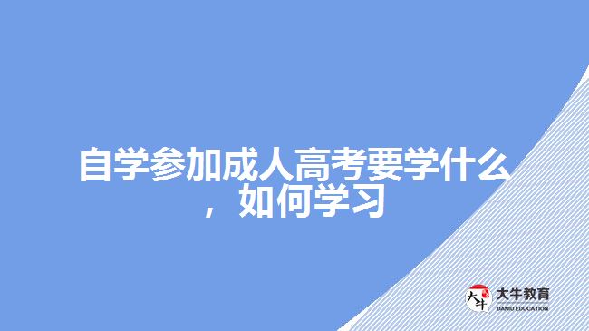 自學(xué)參加成考要學(xué)什么，如何學(xué)習(xí)
