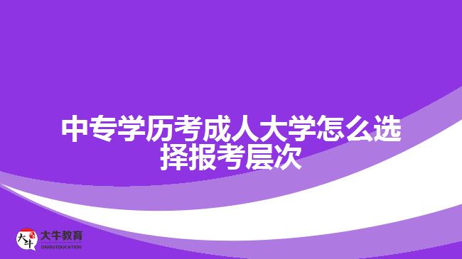 中?？汲扇舜髮W(xué)怎么選擇報考層次