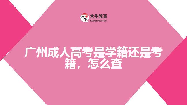 廣州成人高考是學(xué)籍還是考籍，怎么查