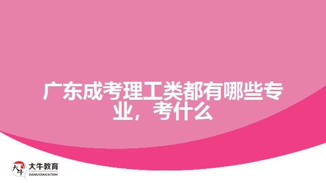 成考理工類都有哪些專業(yè)，考什么