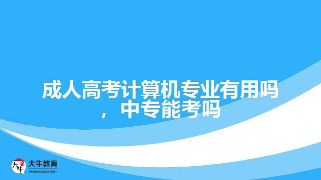成考計(jì)算機(jī)專業(yè)有用嗎，中專能考嗎