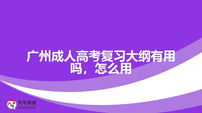 廣州成人高考復(fù)習(xí)大綱有用嗎，怎么用