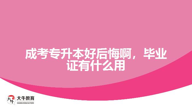 成考專升本好后悔啊，畢業(yè)證有什么用