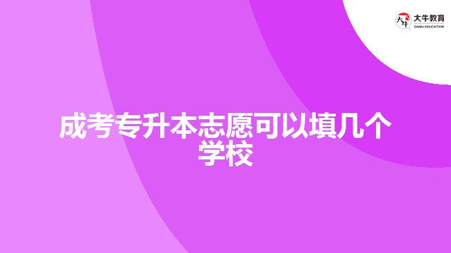 成考專升本志愿可以填幾個學校