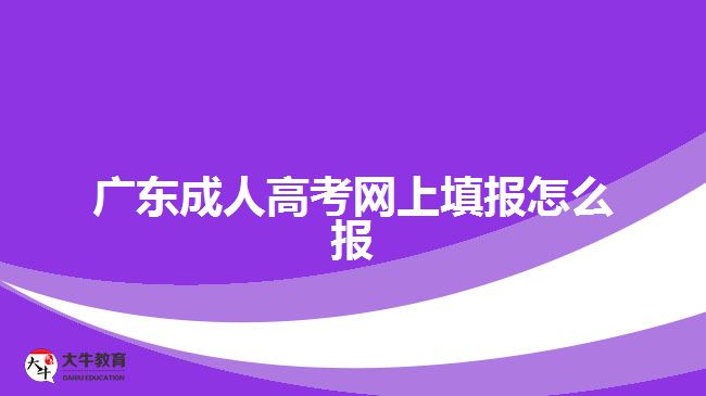 廣東成人高考網上填報怎么報
