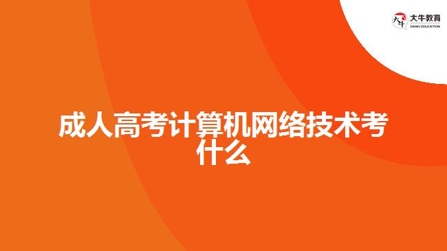 成人高考計算機(jī)網(wǎng)絡(luò)技術(shù)考什么
