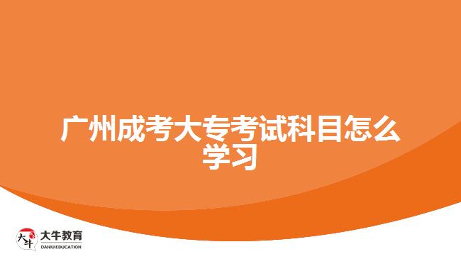 廣州成考大?？荚嚳颇吭趺磳W習