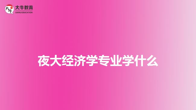 夜大經(jīng)濟學專業(yè)學什么