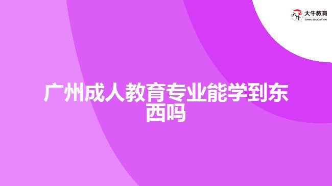 廣州成人教育專業(yè)能學到東西嗎