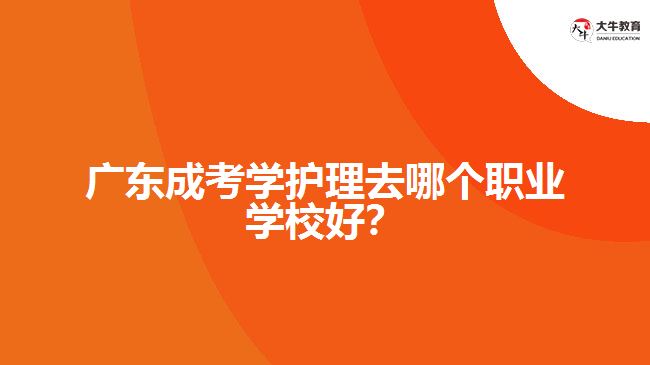 廣東成考學(xué)護(hù)理去哪個職業(yè)學(xué)校好？