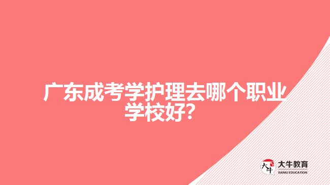 廣東成考學護理去哪個職業(yè)學校好？