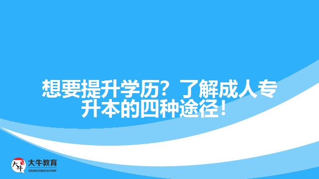想要提升學歷？了解成人專升本的四種途徑！