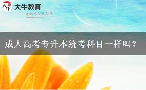成人高考專升本統(tǒng)考科目一樣嗎？