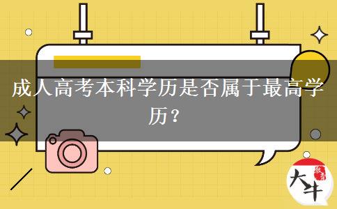 成人高考本科學(xué)歷是否屬于最高學(xué)歷？