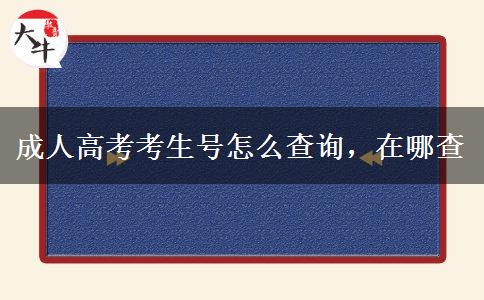 成人高考考生號(hào)怎么查詢，在哪查