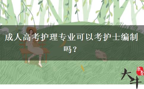 成人高考護(hù)理專業(yè)可以考護(hù)士編制嗎？