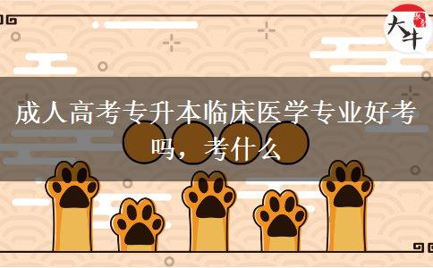 成人高考專升本臨床醫(yī)學(xué)專業(yè)好考嗎，考什么