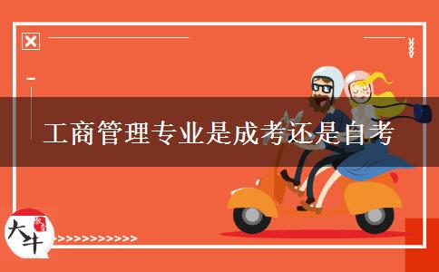 工商管理專(zhuān)業(yè)是成考還是自考