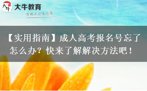 成人高考報名號忘了怎么辦？