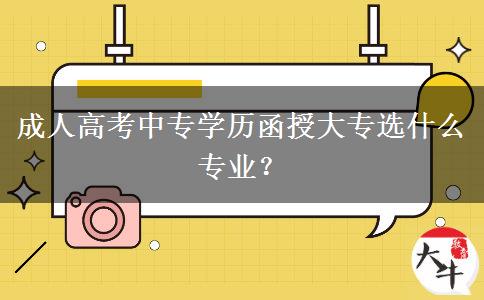 成人高考中專學(xué)歷函授大專選什么專業(yè)？