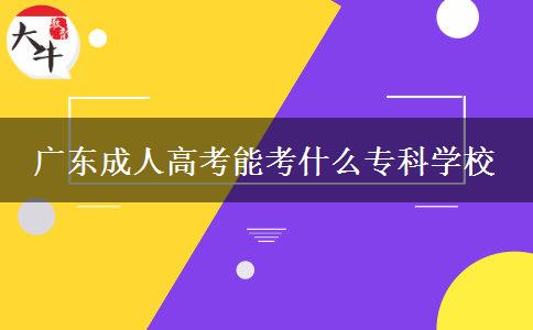 廣東成人高考能考什么?？茖W(xué)校