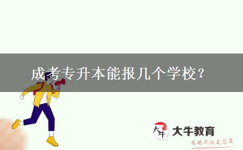成考專升本能報幾個學校？