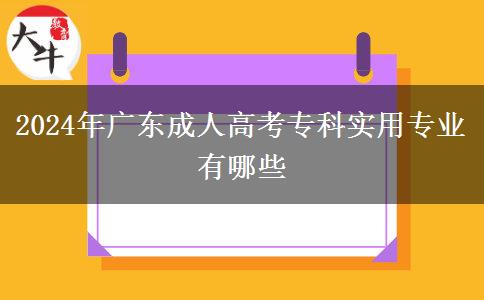 2024年廣東成人高考?？茖嵱脤I(yè)有哪些