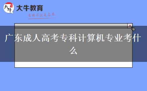 廣東成人高考?？朴?jì)算機(jī)專業(yè)考什么