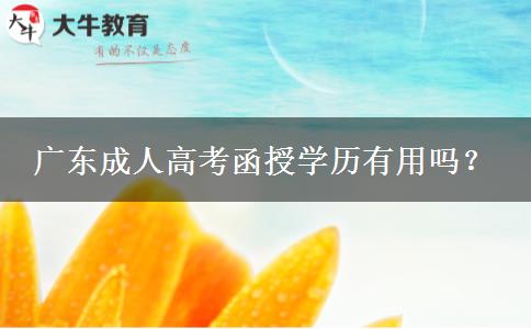 廣東成人高考函授學歷有用嗎？