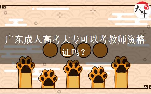 廣東成人高考大?？梢钥冀處熧Y格證嗎？