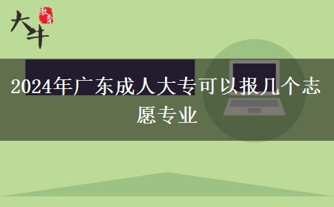 2024年廣東成人大專可以報幾個志愿專業(yè)