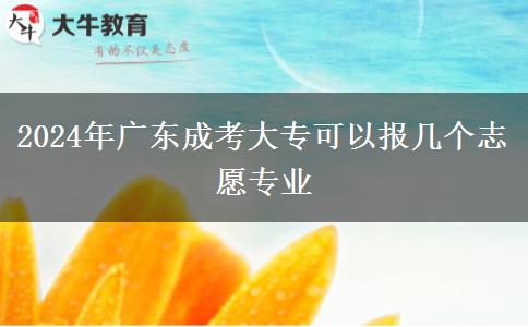 2024年廣東成考大?？梢詧髱讉€志愿專業(yè)