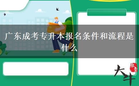廣東成考專升本報(bào)名條件和流程是什么 廣東成考專升本報(bào)名條件和流程是什么