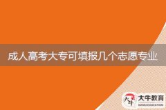 2024年廣東成人高考大?？商顖?bào)幾個(gè)志愿專業(yè)