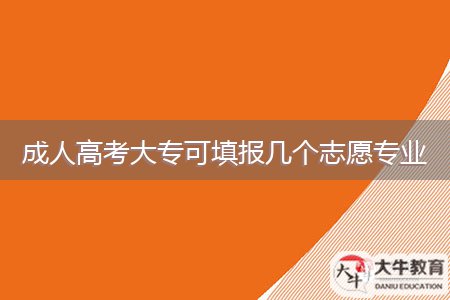 成人高考大?？商顖?bào)幾個(gè)志愿專業(yè)