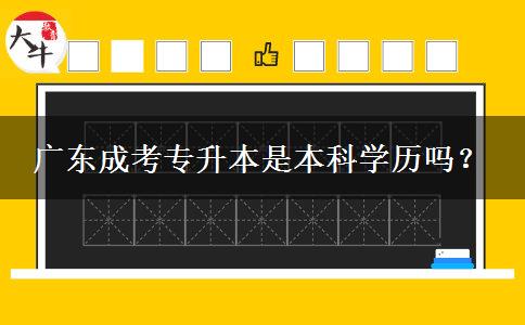 廣東成考專升本是本科學(xué)歷嗎？