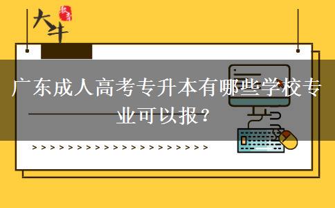 廣東成人高考專升本有哪些學(xué)校專業(yè)可以報(bào)？