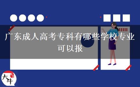 廣東成人高考專科有哪些學校專業(yè)可以報