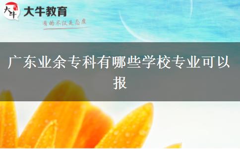 廣東業(yè)余?？朴心男W(xué)校專業(yè)可以報