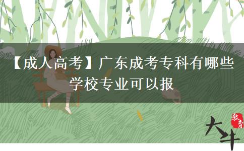 廣東成考?？朴心男W校專業(yè)可以