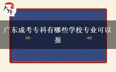 廣東成考?？朴心男W校專業(yè)可以報