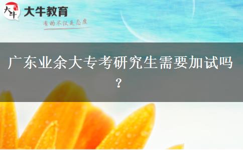 廣東業(yè)余大專考研究生需要加試嗎？