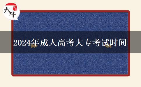 2024年成人高考大?？荚嚂r間