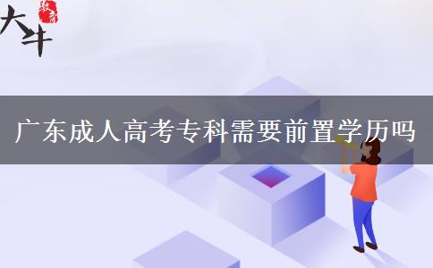 廣東成人高考?？菩枰爸脤W(xué)歷嗎