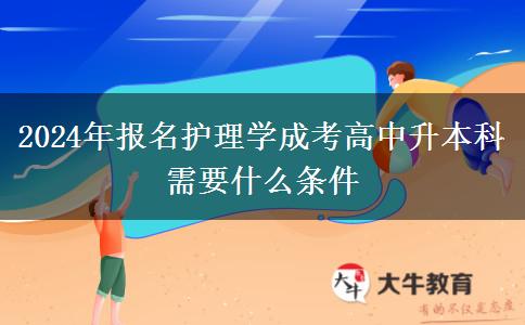 2024年報(bào)名護(hù)理學(xué)成考高中升本科需。</div>
                    <div   class=