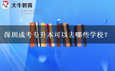深圳成考專升本可以去哪些學(xué)校？
